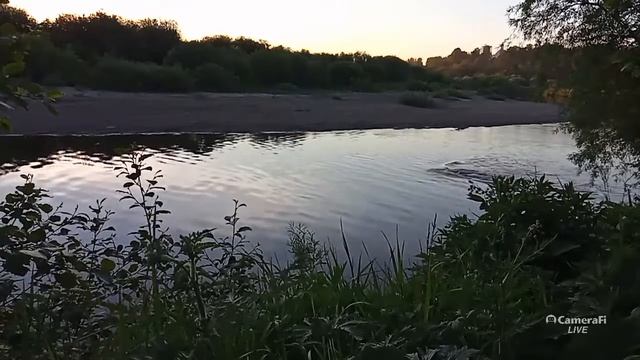 Прямая трансляция Подосиновец,  река Пушма на закате