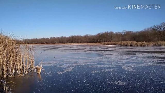 Первый лёд на Затоне. Беково. Пензенская область