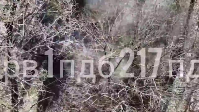 💥Бои в Сумской области: маскировка украинских фашистов не сработала !!!