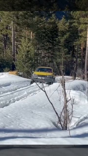 Шевик