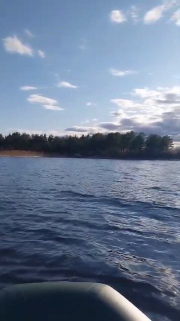 Финский 🇫🇮 залив
