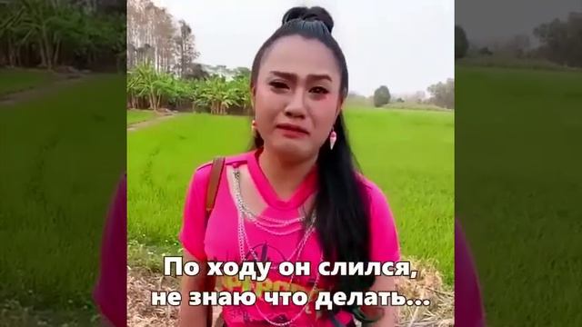 Степан, ты где (1)