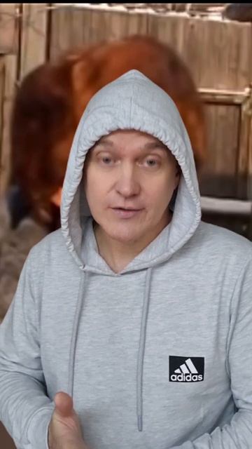 во сколько на рыбалку