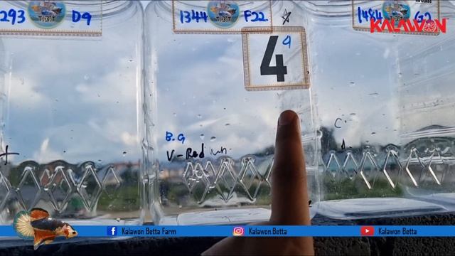 BELAJAR KESALAHAN FAULT DI TANK COMP