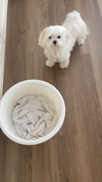 Как победить пятна навсегда? Арт. wb #45373260