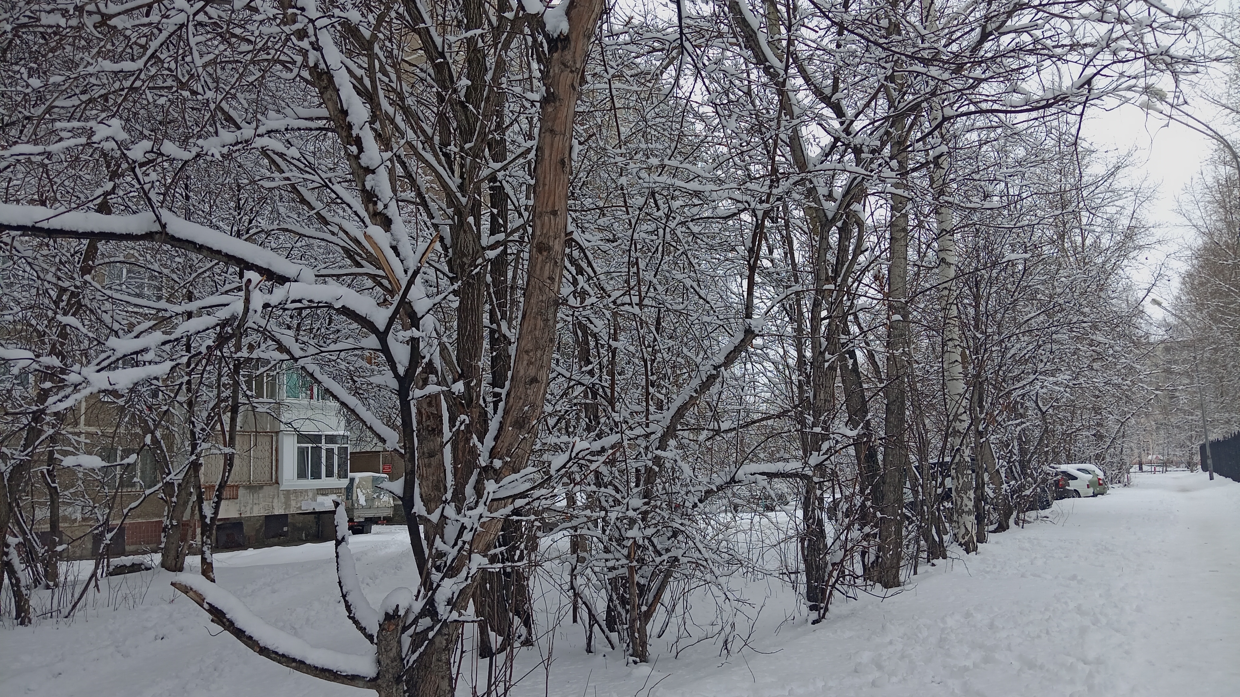 Зима пришла в Нижний Тагил. | 07.04.2025