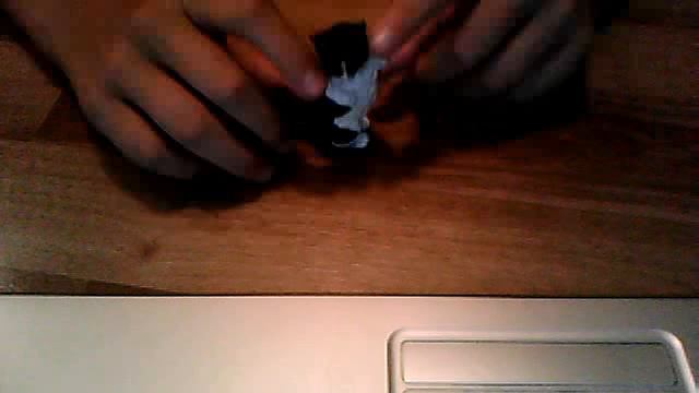 кошка - викторина
