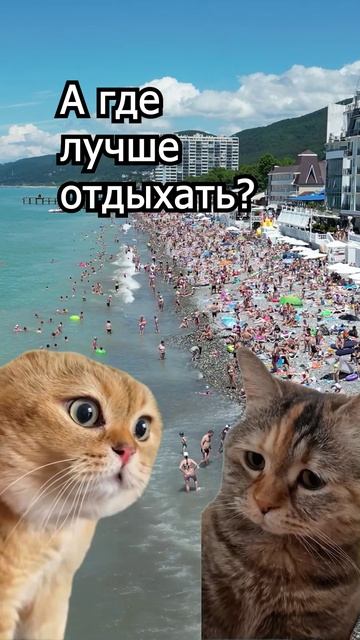 Сочи, пляж пред гостевым домом Гавана, в поселке Чемитоквадже.