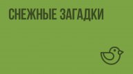 Снежные загадки. Видеоурок по окружающему миру 1 класс