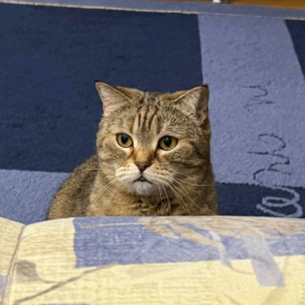 это снова я
