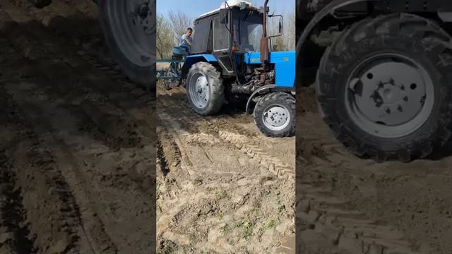 жизнь