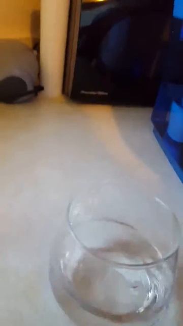 Tds digital water tester tested ice mountain is worse than Detroit city water