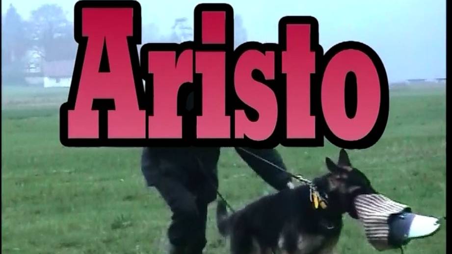 Aristo занятие 07