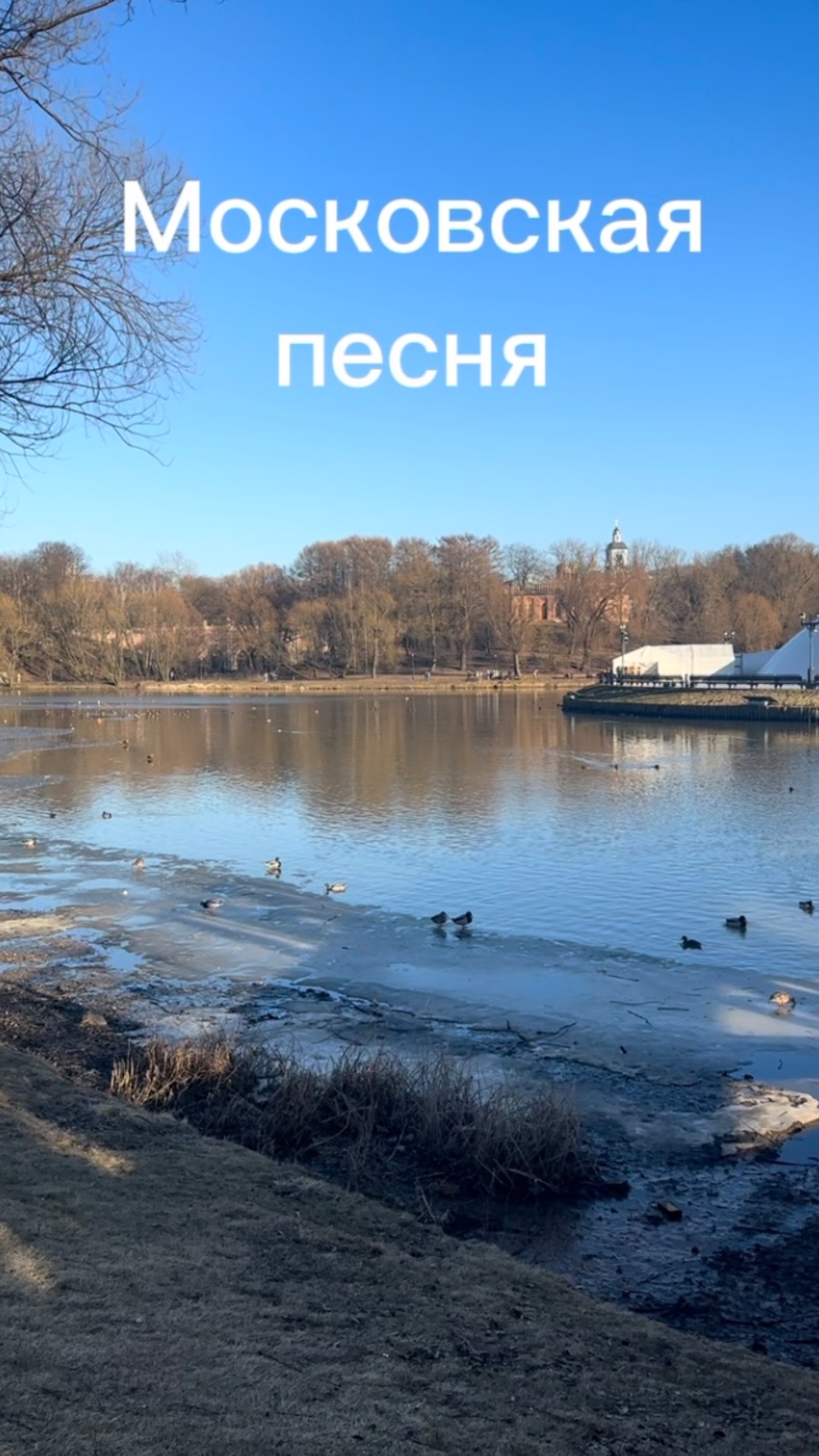 Музыка для души