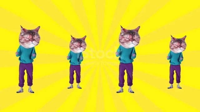 ВЕСЁЛЫЕ  ТАНЦЫ КОТЯТ