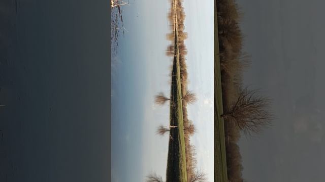 1000002528.mp4