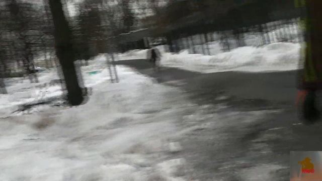 Сажаем новое, рубим корни у старых деревьев!