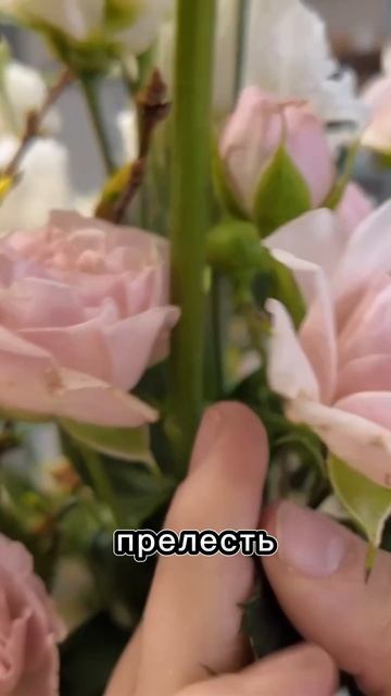 Букет бомба!  #цветы #flowers #урокифлористики