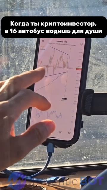 Трейдинг BTC: уровень выше водительского мастерства