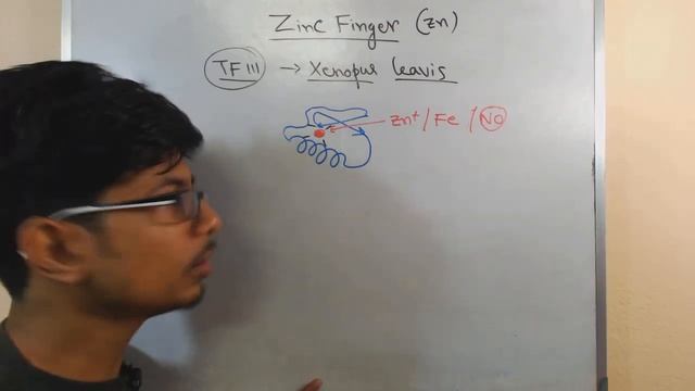 Zinc finger motif