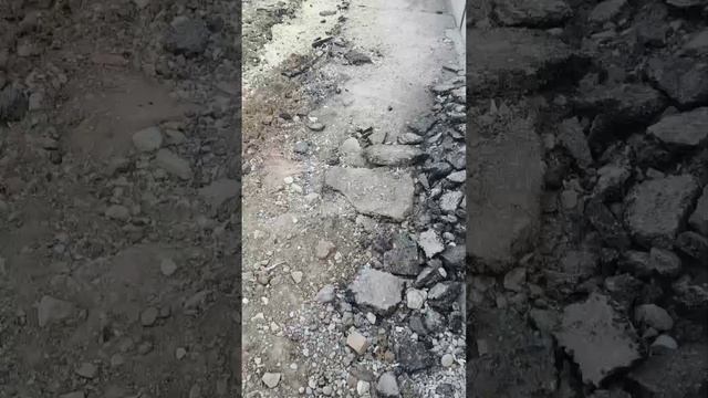 Прямая трансляция fishing и мы !