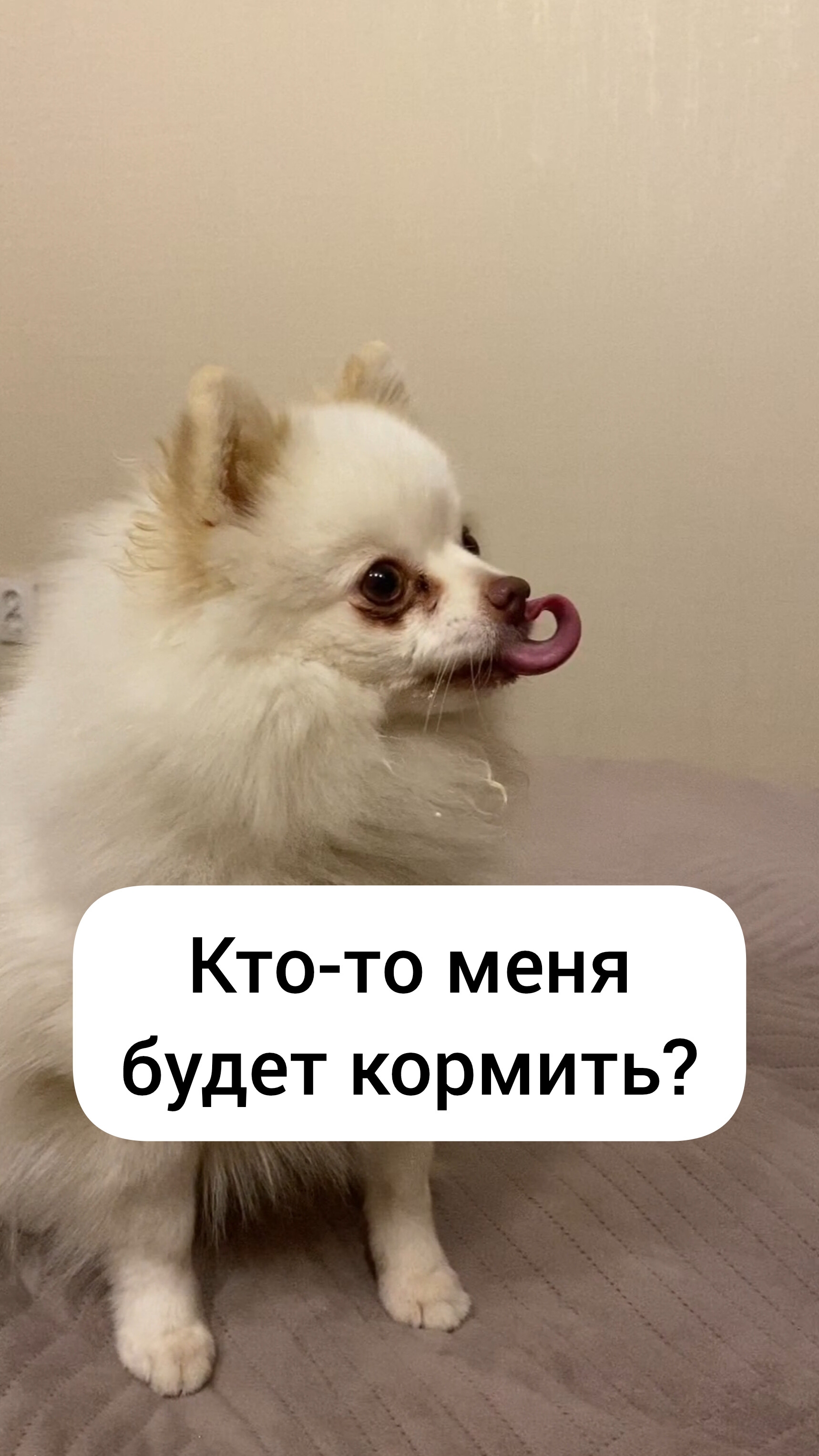 Кто-то меня будет кормить?
