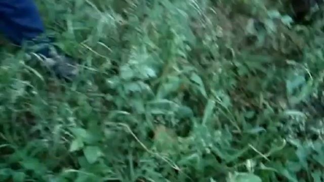 ЭПИЗОД ГДЕ-ТО ВТОРОЙ- ГРИБОСБОРОЧНЫЙ КОМБАЙН