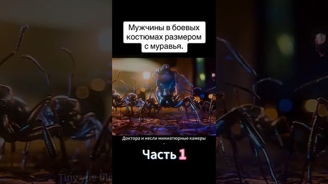 Человек видит муравья