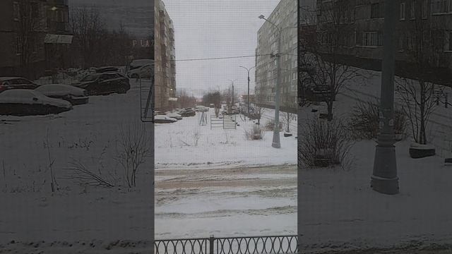 Вид из окна г.Мурманск. Наша ноябрьская поездка 2024г.