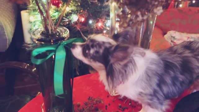 Новогодний декор комнаты своими руками + розыгрыш 🎇✨