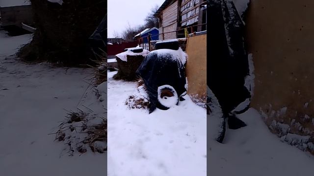 Пожары, ураган! А тут ещё и снег в апреле!
