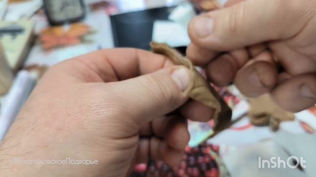 Подготавливаю семена клюквы к стратификации