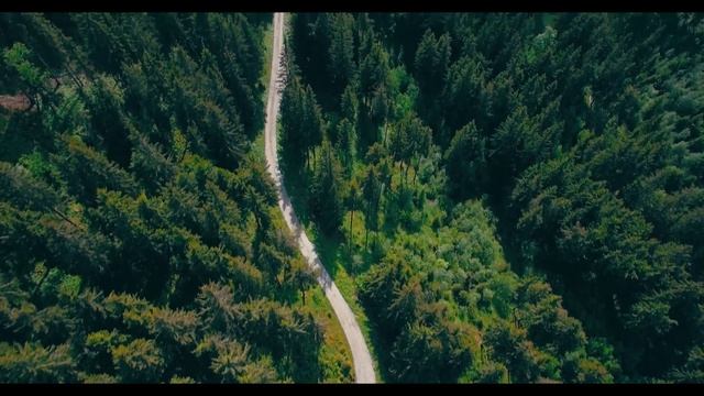 Приют  Страшная история на ночь