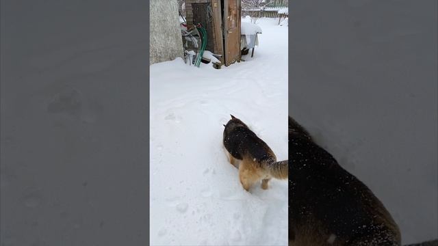 Завалы снега на 8 апреля.