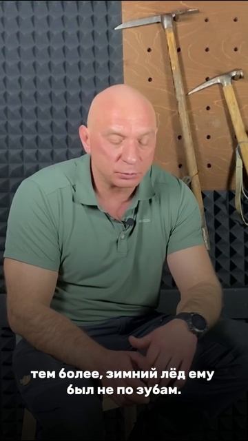 Трикони