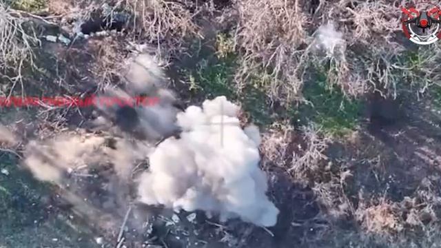 🇷🇺🇺🇦Оператор ФПВ 20 армии поразил блиндаж с Миколами на Лиманском направлении !!!