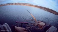 Сезон на Карасика открыт👍 Херабуна🎣 Ловля на поплавок🎣 Рыбачил на тесто.