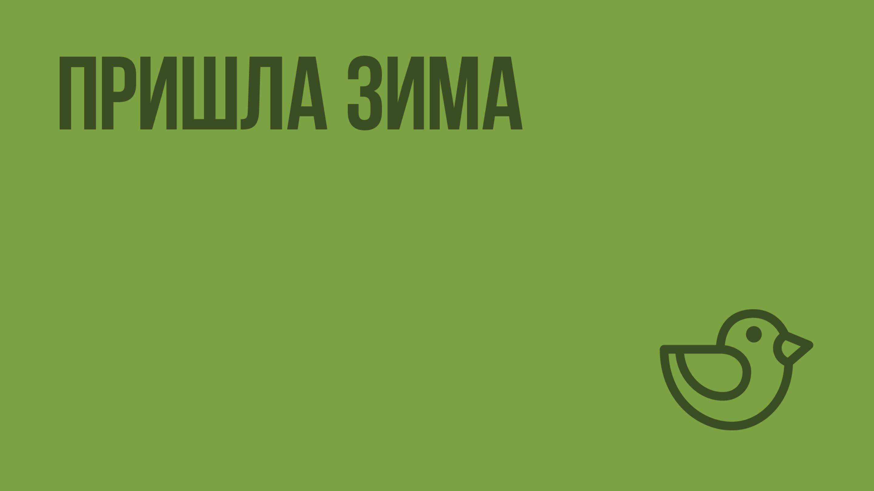 Пришла зима. Видеоурок по окружающему миру 1 класс