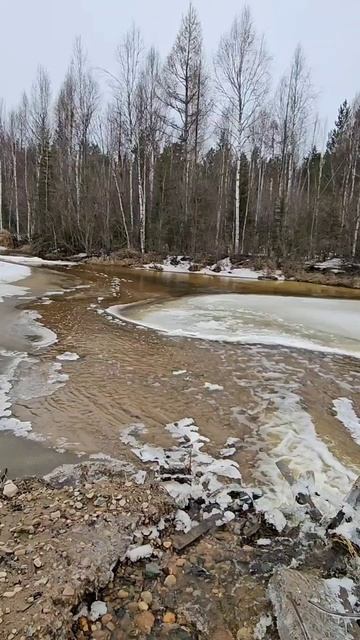 Весна