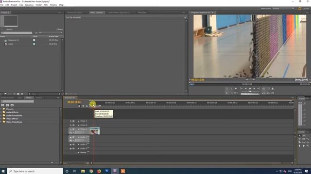 How to make a reverse (backwards) playing video by premiere pro