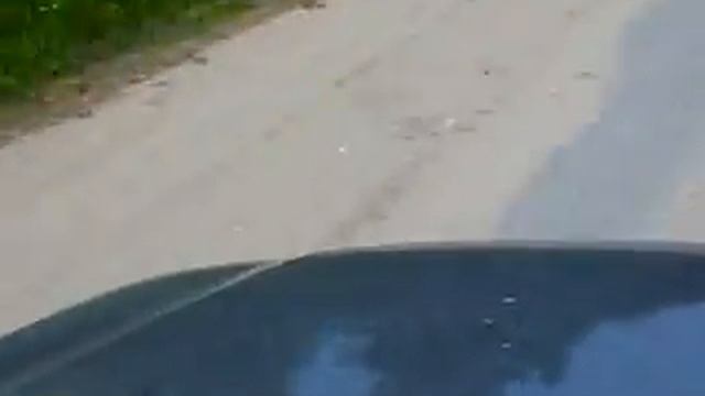 участок дороги между Лодейно и дорогой Подосиновец-Пинюг