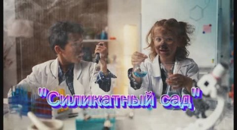Силикатный сад