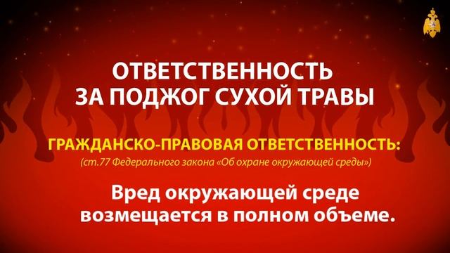 1) Пал сухой травы