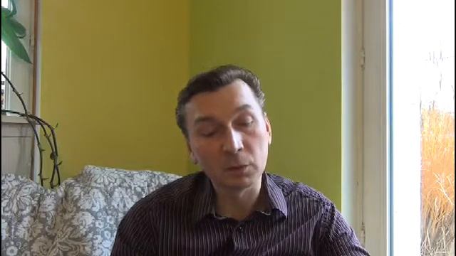 Домашние питомцы
