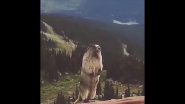 Когда слил там где никогда не сливал