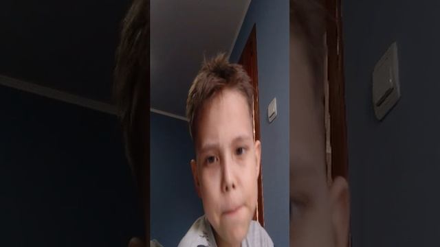 обзор на кота