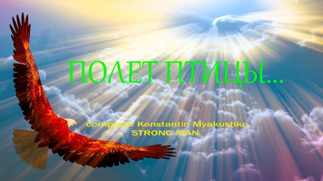 ПОЛЕТ ПТИЦЫ