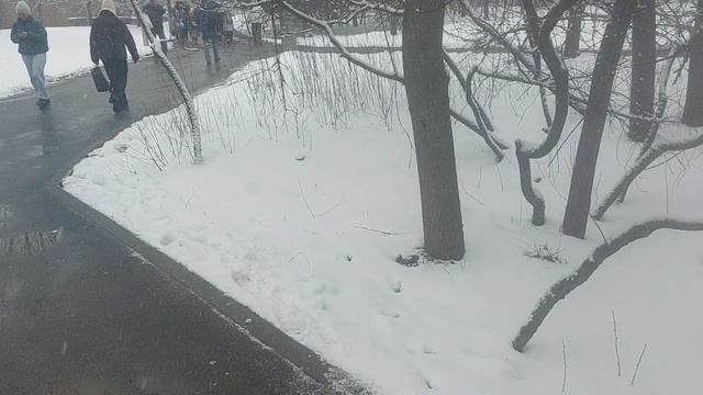 Москва 8 апреля 2025 погода снег