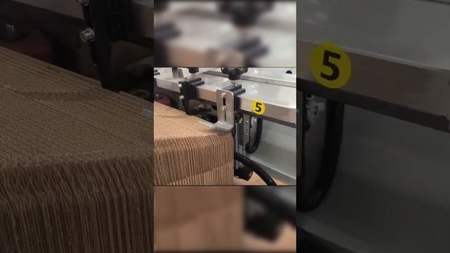 Запуск линии на рыбном производстве: упаковка стаканчиков