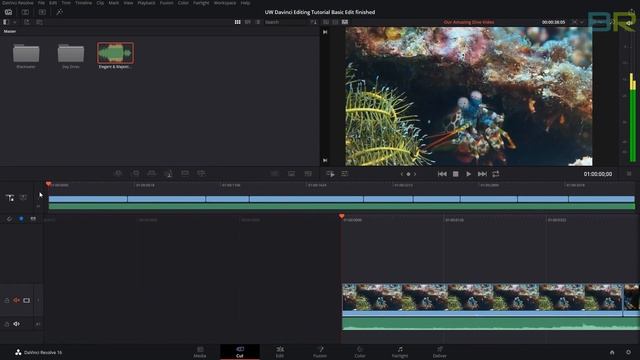 DaVinci Resolve for Underwater Videographers: Part IIa – Editing to Music